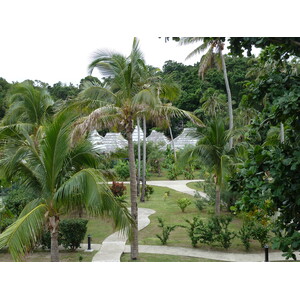 照片 斐济(Fiji) 阿穆努卡岛度假村(Amunuca Island Resort) 2010-05 22