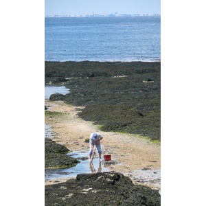 照片 法国(France) 普雷法耶(Prefailles) 圣吉尔达角至拉普雷(La pointe Saint Gildas to La Pree) 2007-08 27