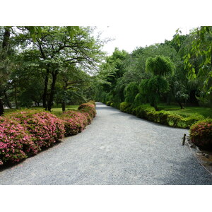 照片 日本(Japan) 京都(Kyoto) 二条城(Nijo Castle) 本丸御殿(Honmaru Palace) 2010-06 48