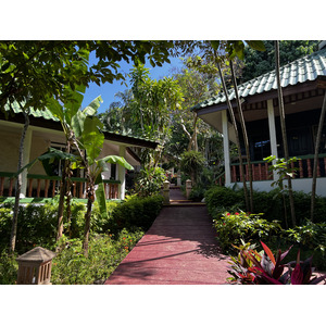 照片 泰国(Thailand) 普吉岛(Phuket) 卡塔海滩(Kata Beach) 卡塔花园度假村(Kata Garden Resort) 2021-12 12