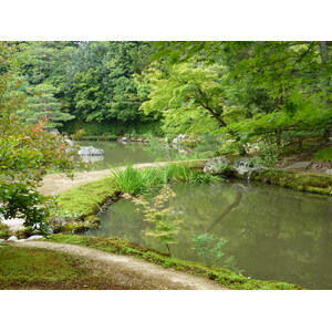 照片 日本(Japan) 京都(Kyoto) 金阁寺(Kinkakuji Temple(Golden Pavilion)) 2010-06 12