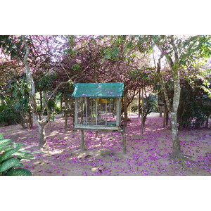 照片 泰国(Thailand) 清迈(Chiang Mai) 湄沙蛇园(Mae Sa Snake Farm) 2010-12 34