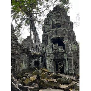 照片 柬埔寨(Cambodia) 暹粒(Siem Reap) 塔布茏寺(Ta Prohm) 2023-01 94