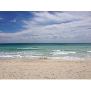 照片 美国(United States) 迈阿密海滩(Miami Beach) 2015-03 65
