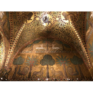 照片 意大利(Italy) 西西里岛(Sicily) 巴勒莫(Palermo) 诺曼王宫(Palazzo dei Normanni) 2020-02 78