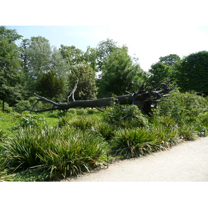 照片 法国(France) 巴黎(Paris) 杜乐丽花园(Garden of Tuileries) 2007-05 260