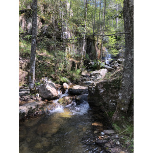 照片 法国(France) 科西嘉岛(Corsica) 艾托内森林(Aitone Forest) 2021-06 22