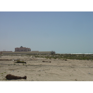 照片 阿联酋(United Arab Emirates) 乌姆盖万(Umm al Quwain) 2005-03 17