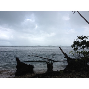 照片 哥斯达黎加(Costa Rica) 卡维塔(Cahuita) 2015-03 218