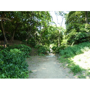 照片 日本(Japan) 东京(Tokyo) 滨离宫恩赐庭园(Hama rikyu Gardens) 2010-06 52