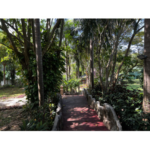 照片 泰国(Thailand) 普吉岛(Phuket) 卡塔海滩(Kata Beach) 卡塔花园度假村(Kata Garden Resort) 2021-12 8