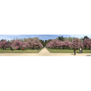 照片 法国(France) 索镇公园(Parc de Sceaux) 2019-04 52