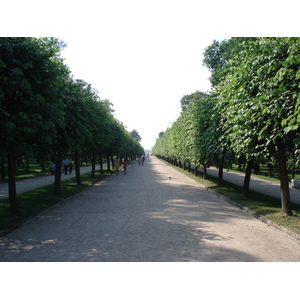 照片 俄罗斯(Russia) 彼得宫(Petrodvorets) 2006-07 49
