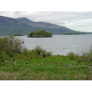 照片 爱尔兰(Ireland) 凯里郡(Kerry) 基拉尼国家公园(Killarney National Park) 马克罗斯湖(Muckross Lake) 2004-05 14