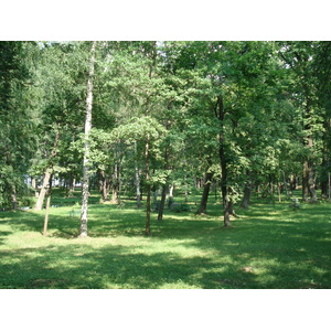 照片 俄罗斯(Russia) 彼得宫(Petrodvorets) 2006-07 34