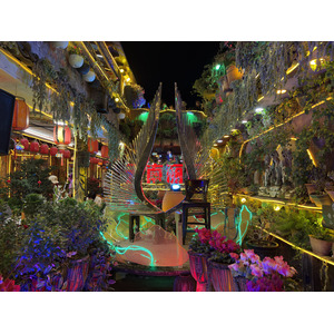 照片 中国(China) 丽江(Lijiang) 2026-01 563