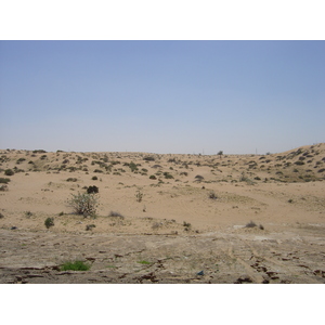 照片 阿联酋(United Arab Emirates) 阿治曼附近公路(Road near Ajman) 2005-03 3