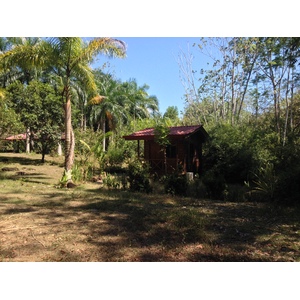 照片 哥斯达黎加(Costa Rica) 乌维塔(Uvita) 2015-03 49