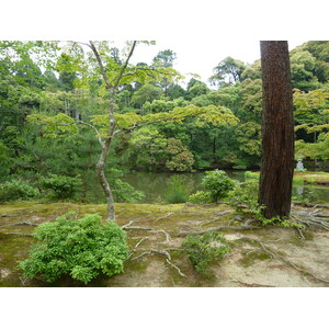 照片 日本(Japan) 京都(Kyoto) 金阁寺(Kinkakuji Temple(Golden Pavilion)) 2010-06 42