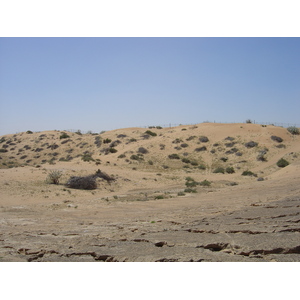 照片 阿联酋(United Arab Emirates) 阿治曼附近公路(Road near Ajman) 2005-03 4