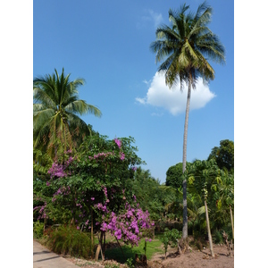 照片 泰国(Thailand) 彭世洛(Phitsanulok) 宗通(Chom Thong) 2009-12 12