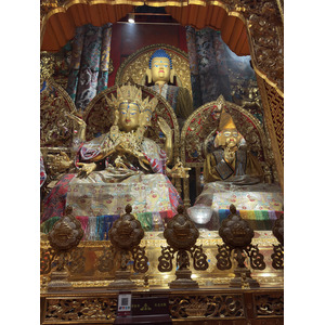 照片 中国(China) 香格里拉(Shangri La) 2026-01 223