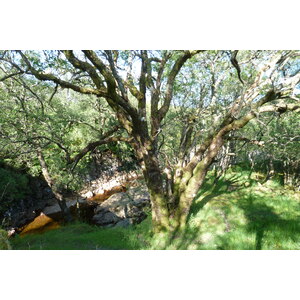 照片 英国(United Kingdom) 苏格兰(Scotland) 2011-07 239