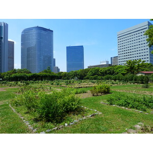 照片 日本(Japan) 东京(Tokyo) 滨离宫恩赐庭园(Hama rikyu Gardens) 2010-06 39