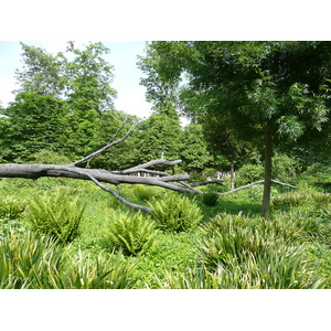 照片 法国(France) 巴黎(Paris) 杜乐丽花园(Garden of Tuileries) 2007-05 231