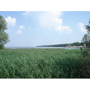 照片 俄罗斯(Russia) 彼得宫(Petrodvorets) 2006-07 98