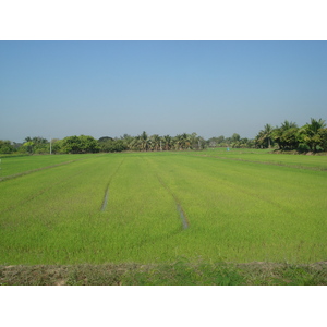 照片 泰国(Thailand) 彭世洛(Phitsanulok) 2008-01 20