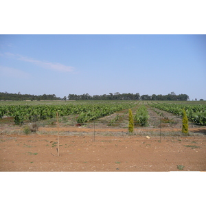 照片 南非(South Africa) 内尔斯普雷特至约翰内斯堡公路(Nelspruit to Johannesburg road) 2008-09 113
