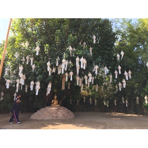 照片 泰国(Thailand) 清迈(Chiang Mai) 2014-12 51