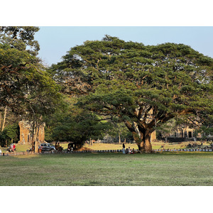 照片 柬埔寨(Cambodia) 暹粒(Siem Reap) 吴哥通王城(Angkor Thom) 2023-01 10
