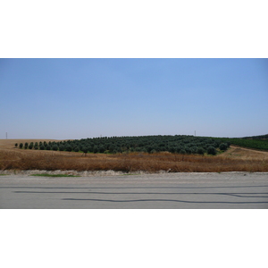 照片 以色列(Israel) 阿什凯隆至阿拉德公路(Ashkelon to Arad road) 2007-06 203