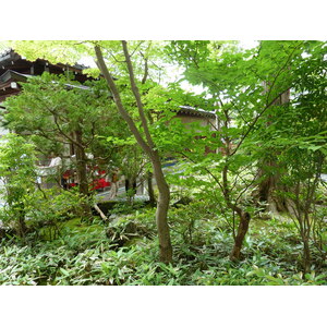 照片 日本(Japan) 京都(Kyoto) 金阁寺(Kinkakuji Temple(Golden Pavilion)) 2010-06 34