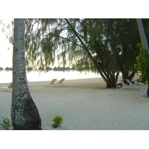 照片 波利尼西亚(Polynesia) 波拉波拉艾美酒店(Meridien Bora Bora Hotel) 2006-04 225