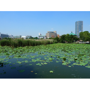 照片 日本(Japan) 东京(Tokyo) 上野(Ueno) 2010-06 62