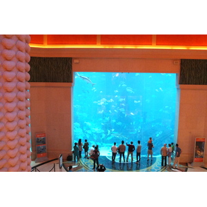 照片 阿联酋(United Arab Emirates) 迪拜(Dubai) 亚特兰蒂斯酒店(Atlantis Hotel) 2014-02 189