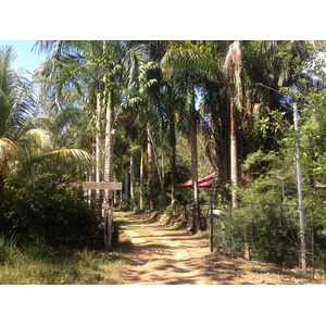 照片 哥斯达黎加(Costa Rica) 乌维塔(Uvita) 2015-03 42