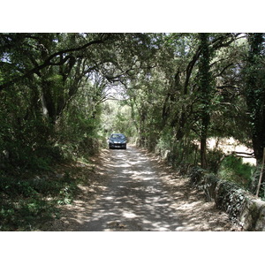 照片 法国(France) 索米耶尔(Sommieres) 2006-06 110