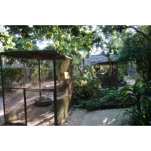 照片 泰国(Thailand) 清迈(Chiang Mai) 湄沙蛇园(Mae Sa Snake Farm) 2010-12 54