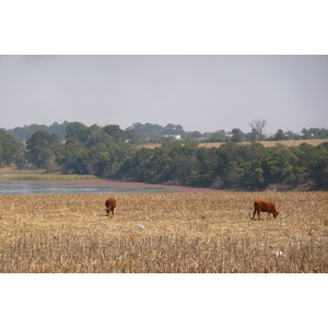 照片 南非(South Africa) 内尔斯普雷特至约翰内斯堡公路(Nelspruit to Johannesburg road) 2008-09 79