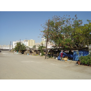 照片 阿联酋(United Arab Emirates) 沙迦(Sharjah) 2005-03 22