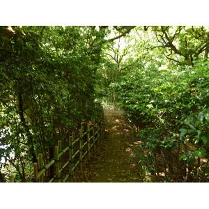 照片 日本(Japan) 东京(Tokyo) 滨离宫恩赐庭园(Hama rikyu Gardens) 2010-06 76