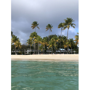 照片 瓜德罗普(Guadeloupe) 卡拉维尔海滩(La Caravelle Beach) 2021-02 56