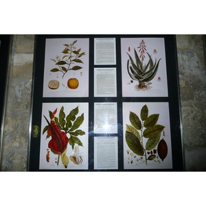 照片 法国(France) 塔拉斯孔(Tarascon) 塔拉斯孔城堡(Tarascon Castle) 2008-04 18