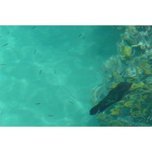 照片 埃及(Egypt) 沙姆沙伊赫(Sharm el Sheikh) 凯悦酒店(Hyatt Hotel) 沙姆沙伊赫凯悦海滩(Hyatt Sharm el Sheikh Beach) 2008-06 1