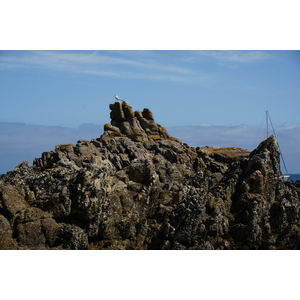 照片 法国(France) 厄迪克岛(Hoedic) 2016-08 24