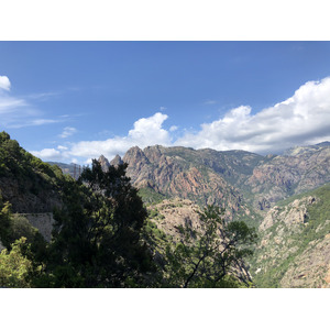 照片 法国(France) 科西嘉岛(Corsica) 艾托内森林(Aitone Forest) 2021-06 4